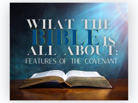 What the Bible is All About: Features of the Covenant on Sale