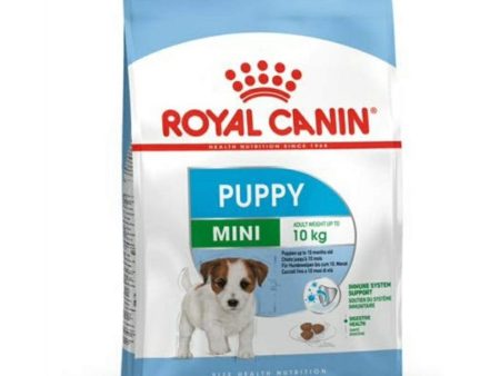 Royal Canin Mini Puppy 4 kg Online now