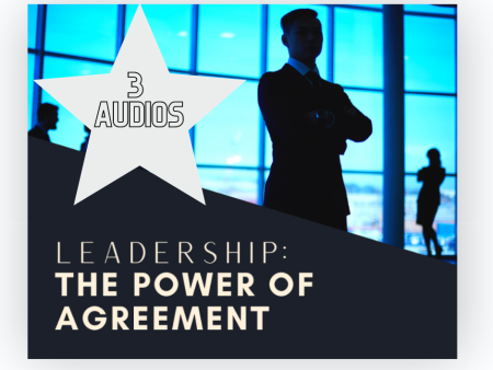 Leadership: The Power of Agreement Bundle Discount