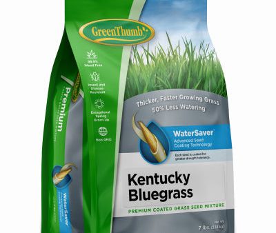 Barenbrug GREUN215 7 LB Bag Of Premium Coated Kentucky Bluegrass Seed - Quantity of 4 bags Online now