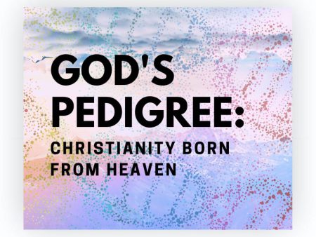 God s Pedigree: Christianity Born From Heaven For Sale