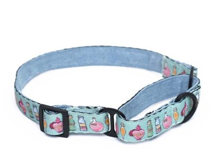 Harry Potter - Potions in Motion - Dog Martingale Collar Supply