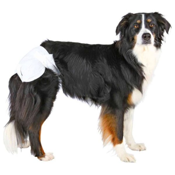 Trixie Diapers for Female Dogs Supply