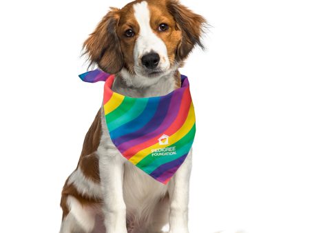 Rainbow Pup Bandana Fashion