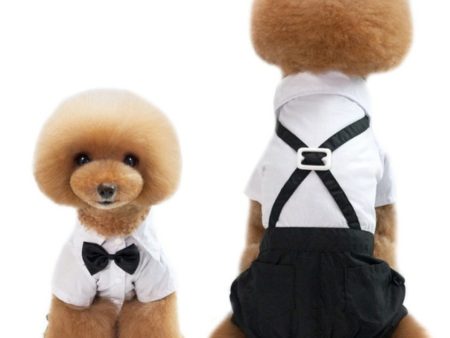 HM Black & White Formals with Suspenders & Bow tie - Clothes for Dogs & Cats For Discount