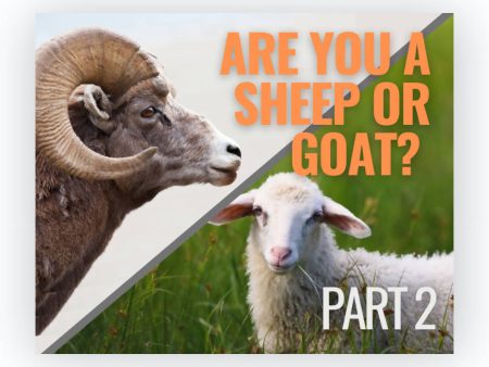 Are You A Sheep or Goat, Part 2 Supply