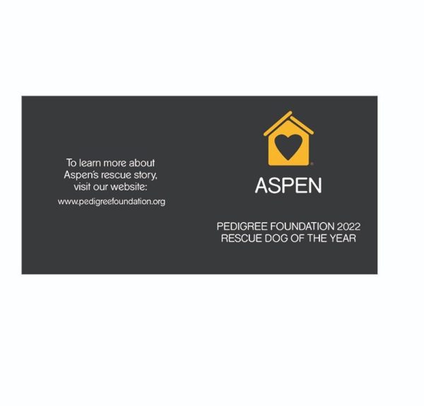 Aspen : PEDIGREE Foundation 2022 Rescue Dog of the Year Discount