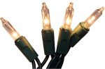 Holiday Wonderland 4050-88A 50 count CLEAR Incandescent Mini Christmas Light Sets - Quantity of 24 Fashion