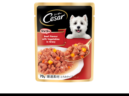 CESAR Dog Wet Food Pouch – Premium Dog Food for Adult Dogs in Beef Flavor with Vegetables in Gravy Discount