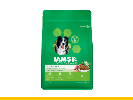 IAMS Proactive Health Dog Food Dry Adult Chicken 1.5kg Online Hot Sale