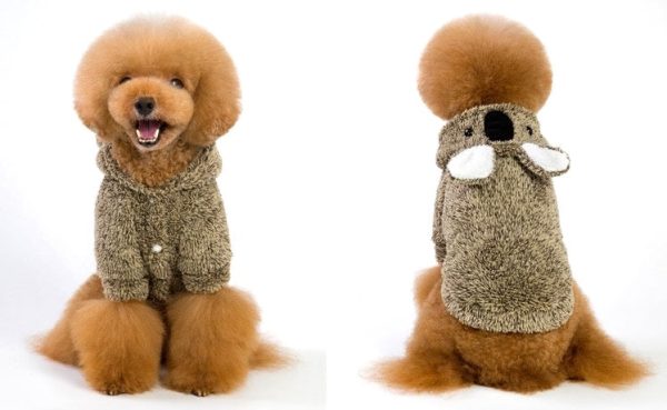 HM Brown Koala Hoodie - Buttoned Jacket For Small Pets Online Hot Sale