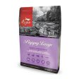 Orijen Puppy Large, Dry Dog Food Cheap