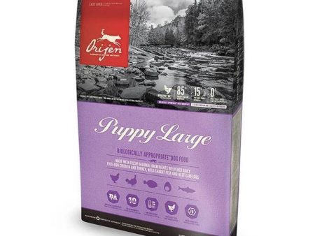 Orijen Puppy Large, Dry Dog Food Cheap