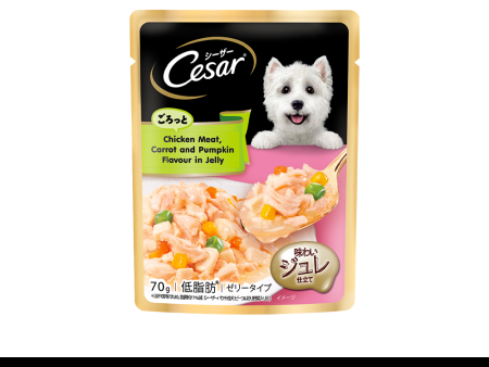 CESAR Dog Wet Food Pouch – Premium Dog Food for Adult Dogs in Chicken Meat, Carrot, and Pumpkin Flavor in Jelly Online Sale