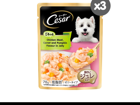 [3 pack] CESAR Dog Wet Food Pouch – Premium Dog Food for Adult Dogs in Chicken Meat, Carrot, and Pumpkin Flavor in Jelly, 70g Online Sale