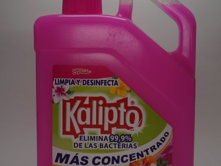 KALIPTO FLORES DEL CAMPO 4L Sale