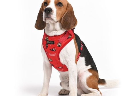 Harry Potter - Friends of Harry Potter Harness on Sale