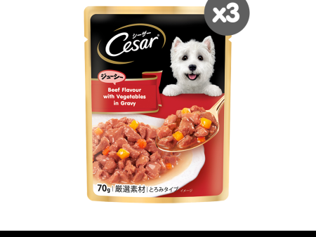 [3 pack] CESAR Dog Wet Food Pouch – Premium Dog Food for Adult Dogs in Beef Flavor with Vegetables in Gravy, 70g Cheap