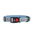 Harry Potter - Potions in Motion - Dog Collar For Discount