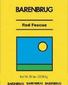 Barenbrug 491137 50 lb Bulk Bag Creeping Red Fescue Grass Seed - Quantity of 1 bag Online