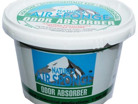 Delta 101-2 1 LB Nature s Air Sponge Odor Absorber - Quantity of 2 Sale