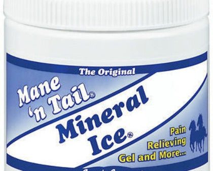 Straight Arrow 300106 16 oz Container of Mane  N Tail Mineral Ice Horse Pain Relieving Gel - Quantity of 1 Online Hot Sale