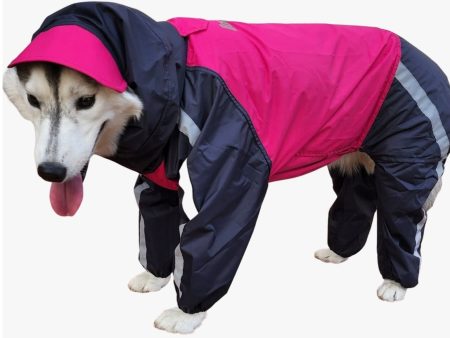 Doxters Lab Raincoat Full Coverage on Sale