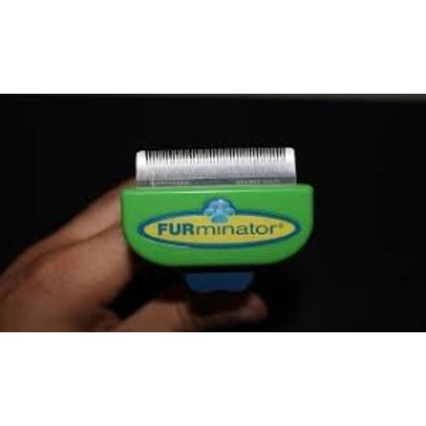 Furminator Short Hair Deshedding Tool For Dogs Discount