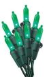 Holiday Wonderland 40845-88A 100-Count Green LED Mini Bulb Christmas Light Set - Quantity of 2 Sale