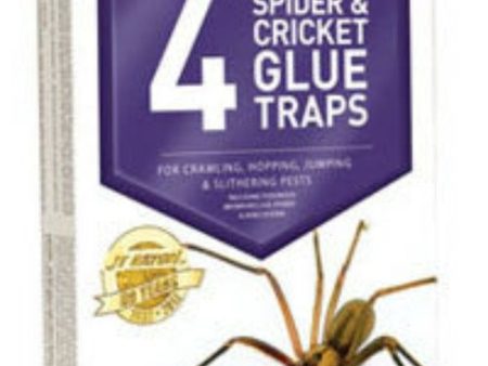 JT Eaton 844 4 Pack Of Spider & Cricket Insect Glue Traps - Quantity of 12 Hot on Sale