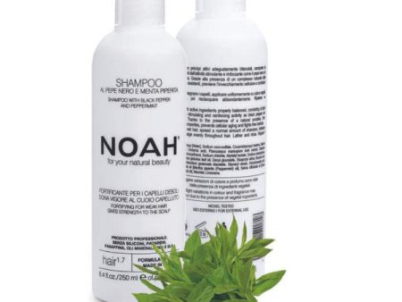 Noah 1.7. Shampoo With Black Peper And Pepermint Plaukus stiprinantis šampūnas silpniems, slenkantiems plaukams 250 ml Hot on Sale