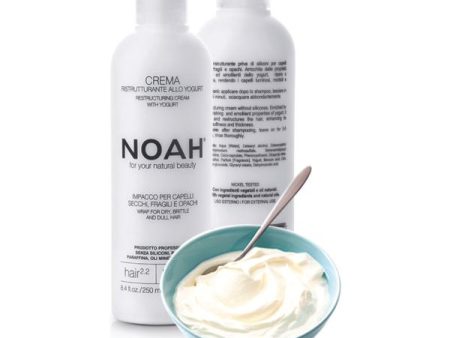 Noah 2.2. Restructuring Cream With Yogurt Atstatomoji kaukė sausiems ir pažeistiems plaukams Online