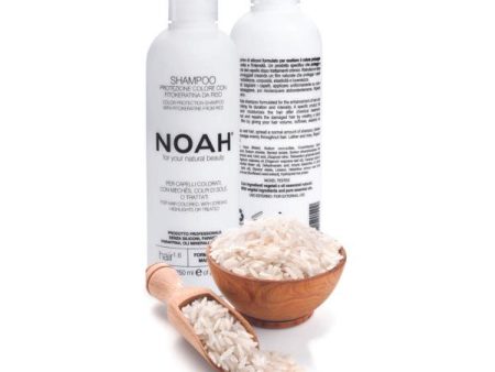 Noah 1.6. Color Protection Shampoo With Fitokeratine From Rice Šampūnas dažytiems ir sruogelėmis dažytiems plaukams Online Hot Sale